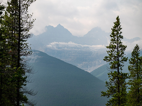 Descending SW forest back down to the Icefields Parkway.