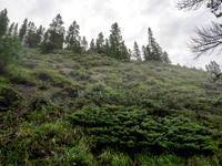 Ascending lower SW slopes from hwy 93.