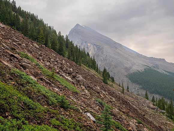 Ascending SW rubble slopes.