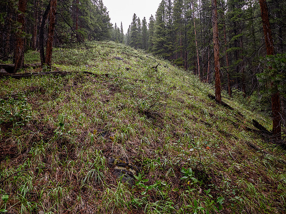 Ascending lower SW slopes from hwy 93.