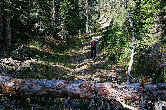 We left the bikes here. Just before the trail to the pass gets very steep.