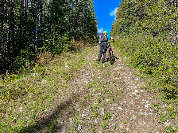 There are steeper sections of trail requiring mere biking mortals such as ourselves to walk.