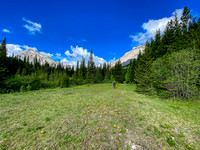 This beautiful meadow is along the way.