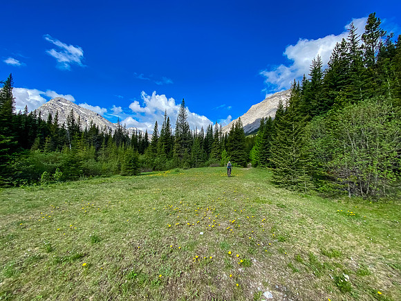 This beautiful meadow is along the way.