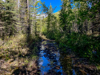 The trail along Baril Creek is a mix of pleasant and less pleasant biking / hiking.