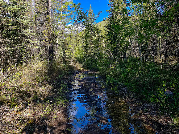 The trail along Baril Creek is a mix of pleasant and less pleasant biking / hiking.