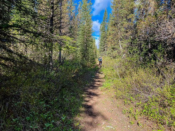 The trail along Baril Creek is a mix of pleasant and less pleasant biking / hiking.