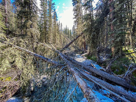 The creek bed is NOT a good place to hike!