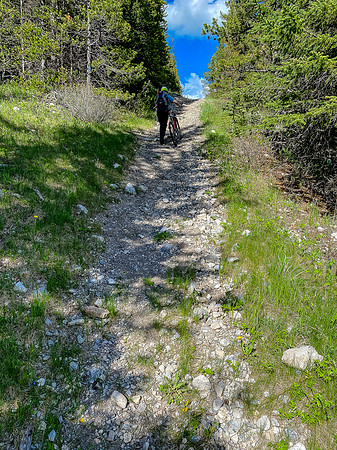 Pushing the bikes up a hill on return.