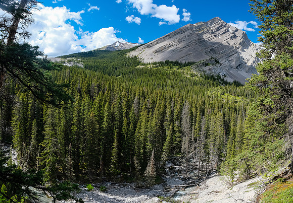 Continuing down the creek towards Baril Creek.