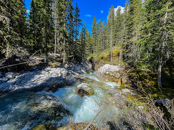 Crossing the creek.