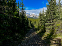 The trail along Baril Creek is a mix of pleasant and less pleasant biking / hiking.