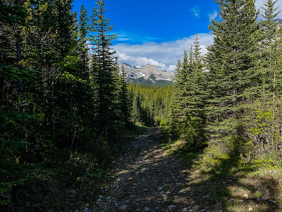 The trail along Baril Creek is a mix of pleasant and less pleasant biking / hiking.