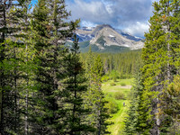 This beautiful meadow is along the way.