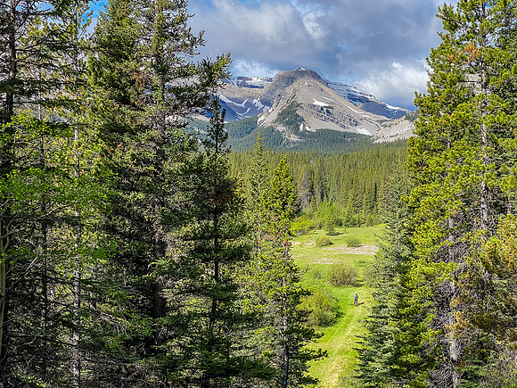 This beautiful meadow is along the way.