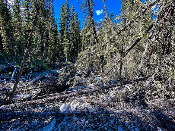 The creek bed is NOT a good place to hike!
