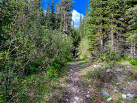 The trail is rough in spots.
