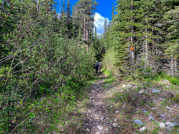 The trail is rough in spots.