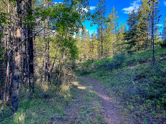 The trail along Baril Creek is a mix of pleasant and less pleasant biking / hiking.