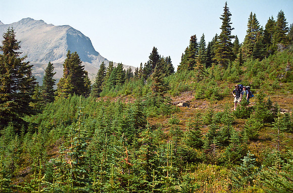 Gus and Gwen as we near the Snowbowl Campground.