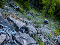 There is no trail through the forest - only smatterings of animal routes.
