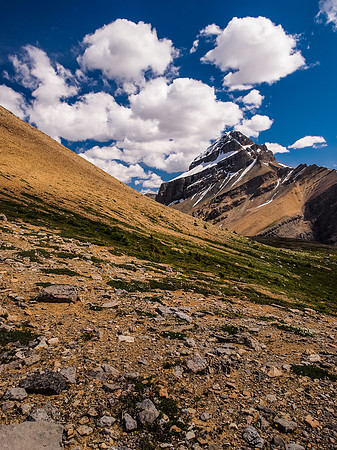 Views of Mount Weed.