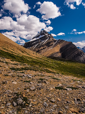 Views of Mount Weed.