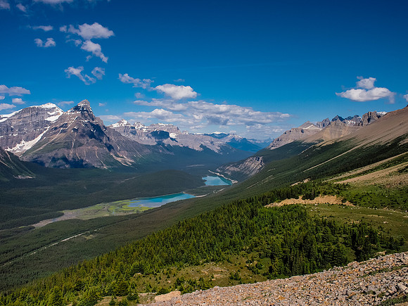Waterfowl Lakes with Chephren.