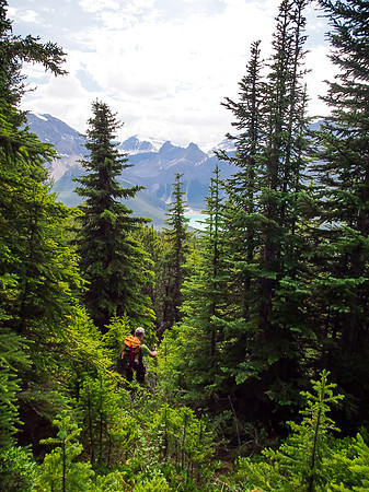 Back in the forested lower slopes.