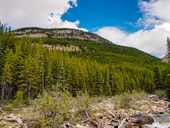 Views of the lower forest with obvious cliffs that we broke through.