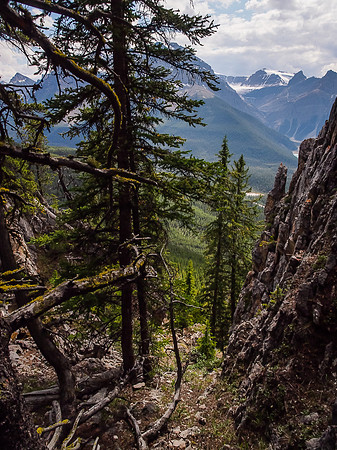 Breaking through the lower cliffs in the forest.