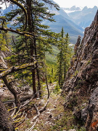 Breaking through the lower cliffs in the forest.