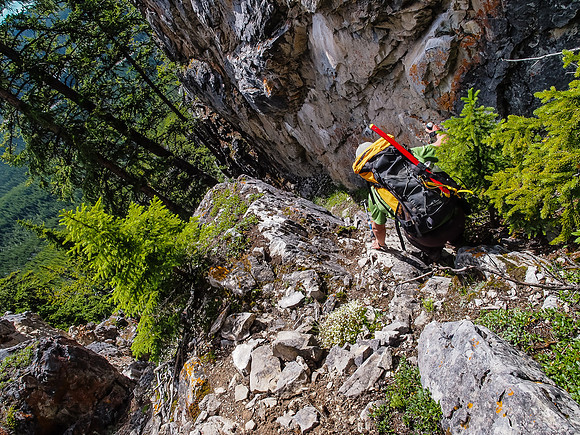 Breaking through the lower cliffs in the forest.