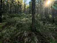 Noyes Peak South