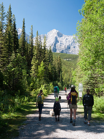 Starting the hike on a wide path.