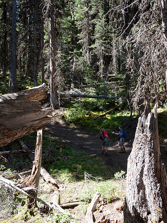 Hiking up the steep trail to Rawson from Upper Lake.