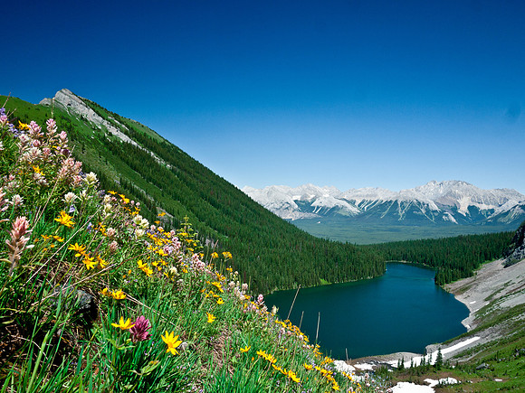 Rawson Lake with the wildflower hill.