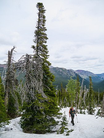 Wietse coming up the ridge.