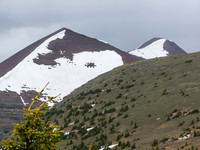 Looking ahead to the summit of Akamina Ridge.