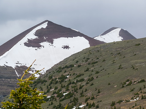 Looking ahead to the summit of Akamina Ridge.