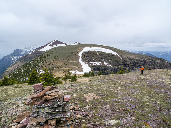 Looking to the high point of Akamina Ridge from near Forum peak.