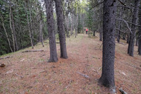 Following a faint trail up the north end of Macabee Ridge.