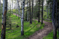 Hiking up Long Prairie Ridge.