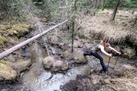 Crossing Macabee Creek just shy of the north end of Macabee Ridge.