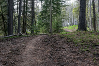 Starting up towards the south end of Long Prairie Ridge.