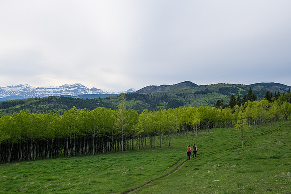 Hiking along the north end of Long Prairie Ridge.