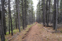 Hiking south from Pine Ridge towards Macabee Ridge.