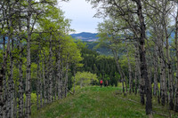 Hiking south on Macabee Ridge.