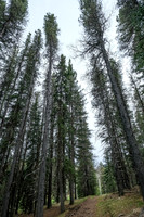 Hiking south from Pine Ridge towards Macabee Ridge.