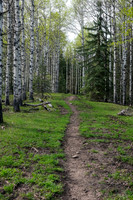 Hiking up Long Prairie Ridge.